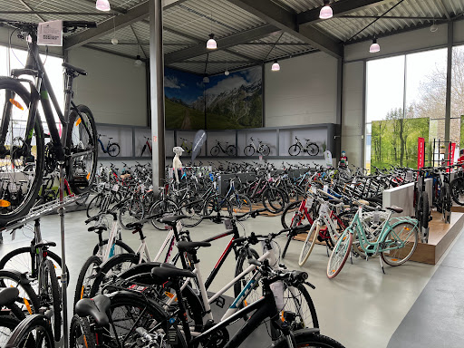 Fahrrad Center Singer GmbH & Co. KG - Thumbnail