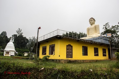 Photos of Mandaramnuwara Samadhi Buddha Statue