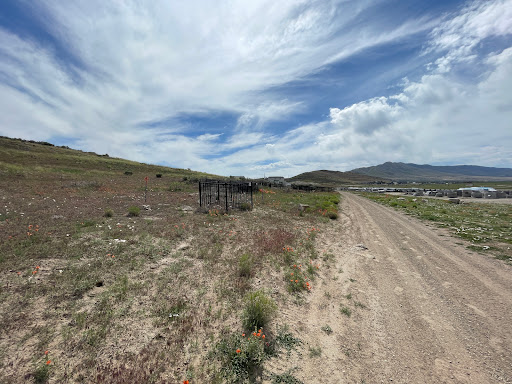 Three Petroglyphs Trail - Thumbnail
