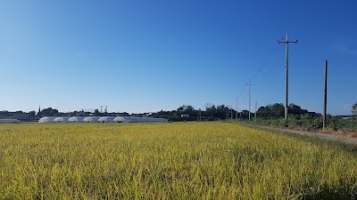 Photos of 일산황토마루한증막