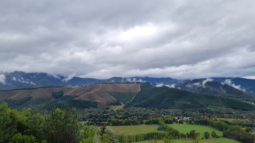 Tower Hill Lookout - Thumbnail