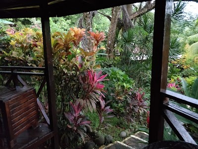 Photos of Hibiscus Valley Inn