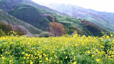 Fillo Lojistik Bitlis Şubesi