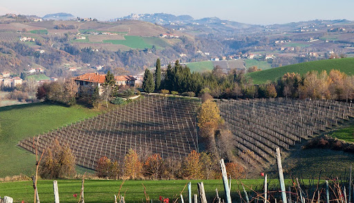 Agriturismo Minaldo Logo