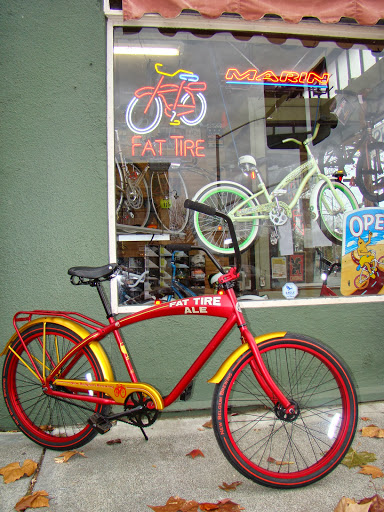 Pullins Cyclery - Visual