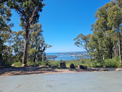 Holmes lookout Logo