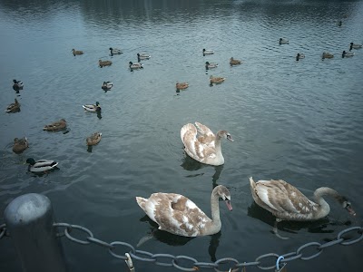 Photos of Fontain