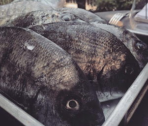 Photo n°34 de Mordus à Toulouse (Restaurant)