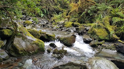 Photos of Fox Glacier Chalet Lookout Track