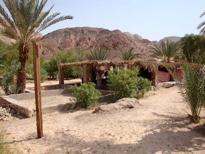 Photos of White Canyon