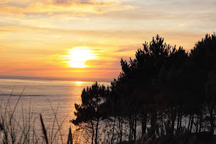 Photo n°39 de Camping Yelloh! Village Panorama du Pyla à Pyla sur Mer (Parc aquatique)