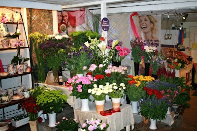 Photos of Nylund Planteskole/Blomster