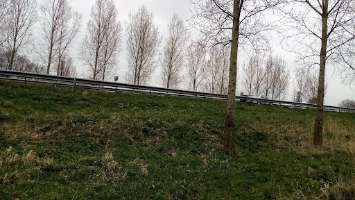 Carpool Sassenheim - Thumbnail