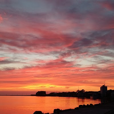 荒磯キャンプ広場