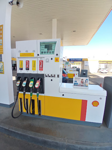 SHELL Nudo Norte Gallery - Spain