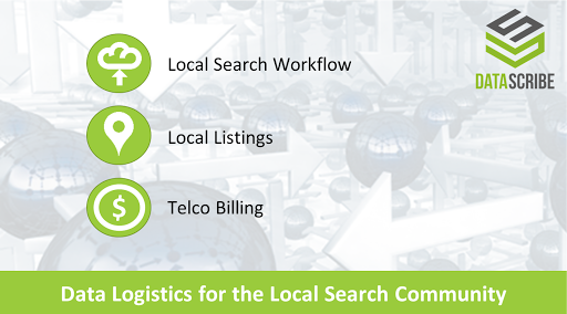 Data Scribe Solutions - Visual