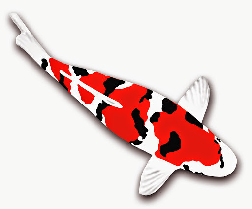 Lausitz - Koi Bernhard Wierick