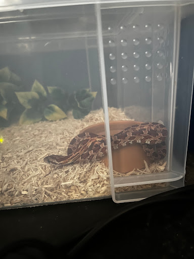 Tails and Scales Pet Centre - Thumbnail