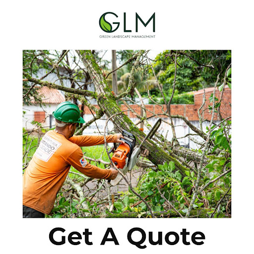Landscaping article image