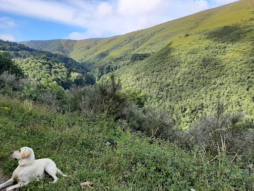 Noceda - Visual
