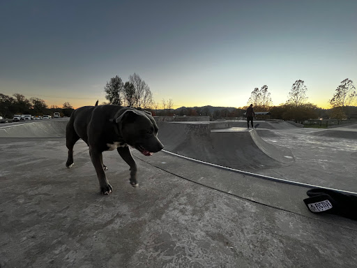 Willits Skatepark - Thumbnail