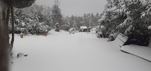 Photo n°4 de La ferme des Pin'prunelles à Saint-Just-en-Bas (Ferme bio)