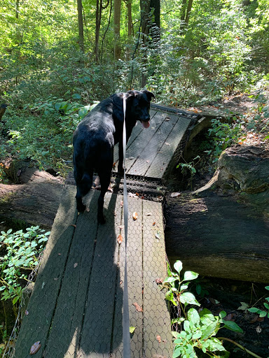 Soldiers Memorial Park MTB Trailhead