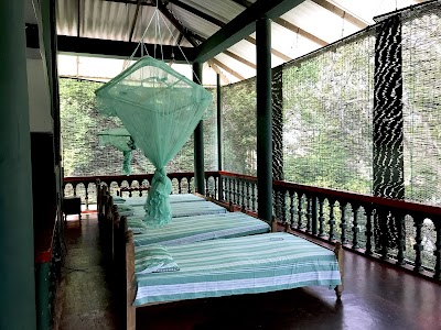 Photos of Wasgamuwa National Park