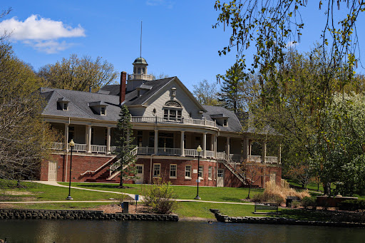 Lords Park - Visual