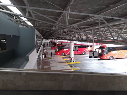 Terminal Central Veracruz, S.A. De C.V.
