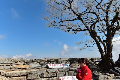 Photos of Chamseongdan