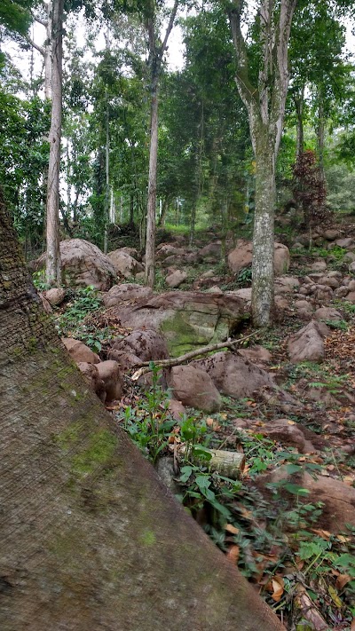 park