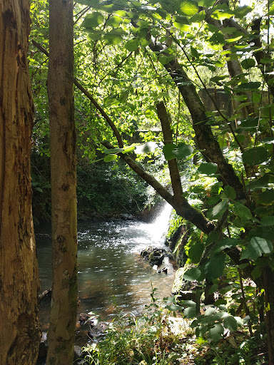 Cascadas de el Escañorio - Thumbnail