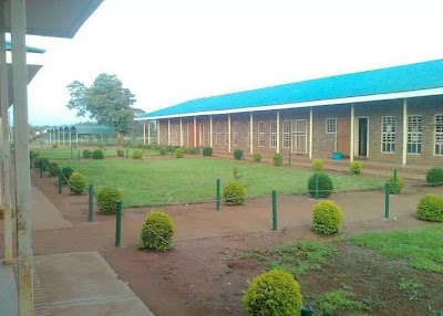 school