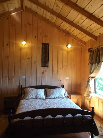 Photos of Apart Hotel Puchaley Lafquen