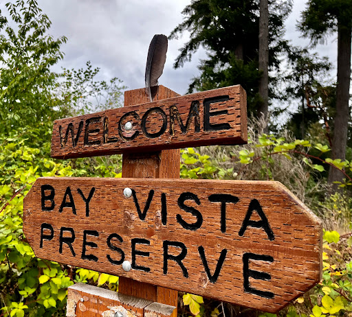 Bay Vista Preserve - Thumbnail