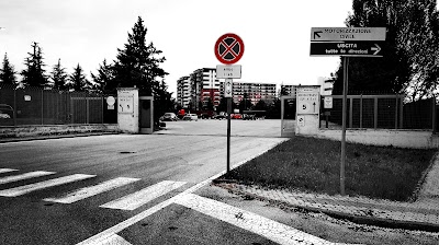 Motorizzazione Torino