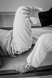 Photo n°6 de 64 - PAU - SHIATSU & DOIN - Severine MOROY à Lons (Centre de bien-être)