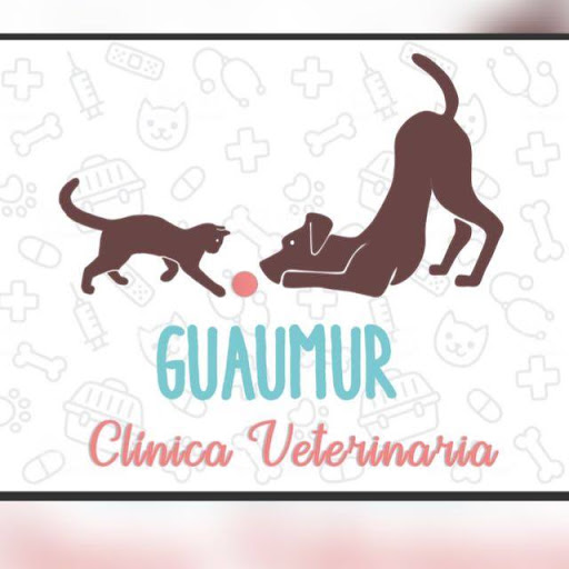 Guaumur - Visual