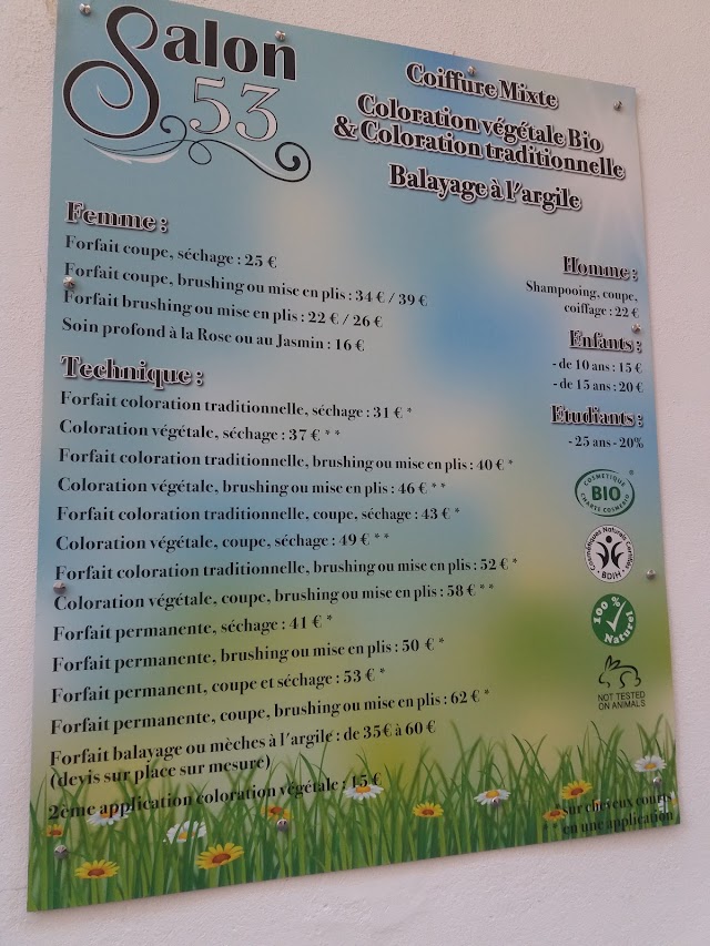 Salon 53