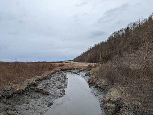 Palmer Hay Flats State Game Refuge Gallery - United States