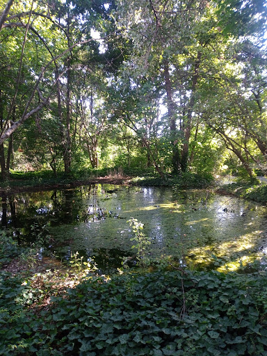 Bosco di Campagna - Italy
