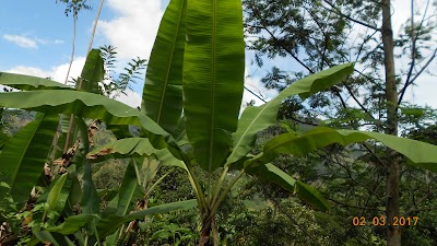 Photos of Elliyadda Village