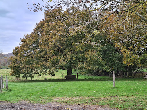 Barnshaw Pet Crematorium - Thumbnail