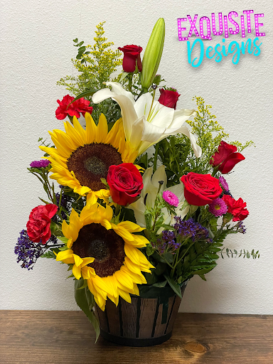 Exquisite Designs - Visual