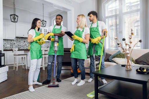 HCD Cleaning - Visual