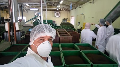 Photos of Nildalukanda Tea factory