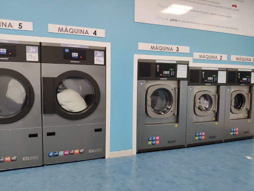 Rapid Clean - Visual