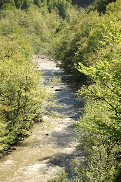 Photos of Melenci Rafting