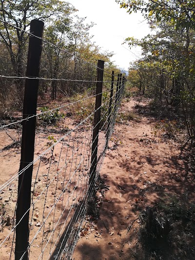 Photos of Porcupine Reds